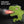 Load image into Gallery viewer, Dinosaur Handheld Sprayer