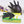Load image into Gallery viewer, Nitrile Gloves For Salon Dye 100pcs/bag