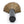 Load image into Gallery viewer, CestoMen Barbershop Hair Shaving Appliance Professional Neck Brush