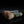 Load image into Gallery viewer, CestoMen Water Transfer Printing Soft Neck Duster Brush
