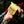 Load image into Gallery viewer, BabylissPro Gold Fx Skeleton Trimmer 787GCN