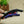 Load image into Gallery viewer, T&G Hair Alligator Clip 10 Pcs/Pack