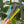 Load image into Gallery viewer, Pro Spinning Cutting Comb
