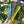 Load image into Gallery viewer, Pro Spinning Cutting Comb
