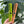 Load image into Gallery viewer, Pro Spinning Cutting Comb
