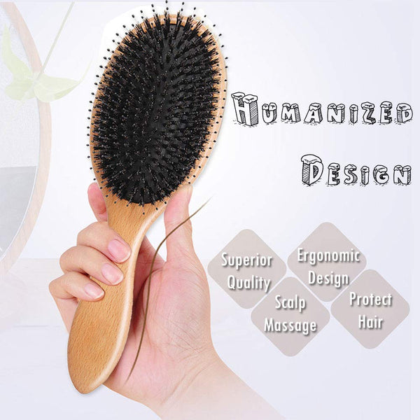 2pcs Boar Bristle Hairbrush for Wet/Dry Hair